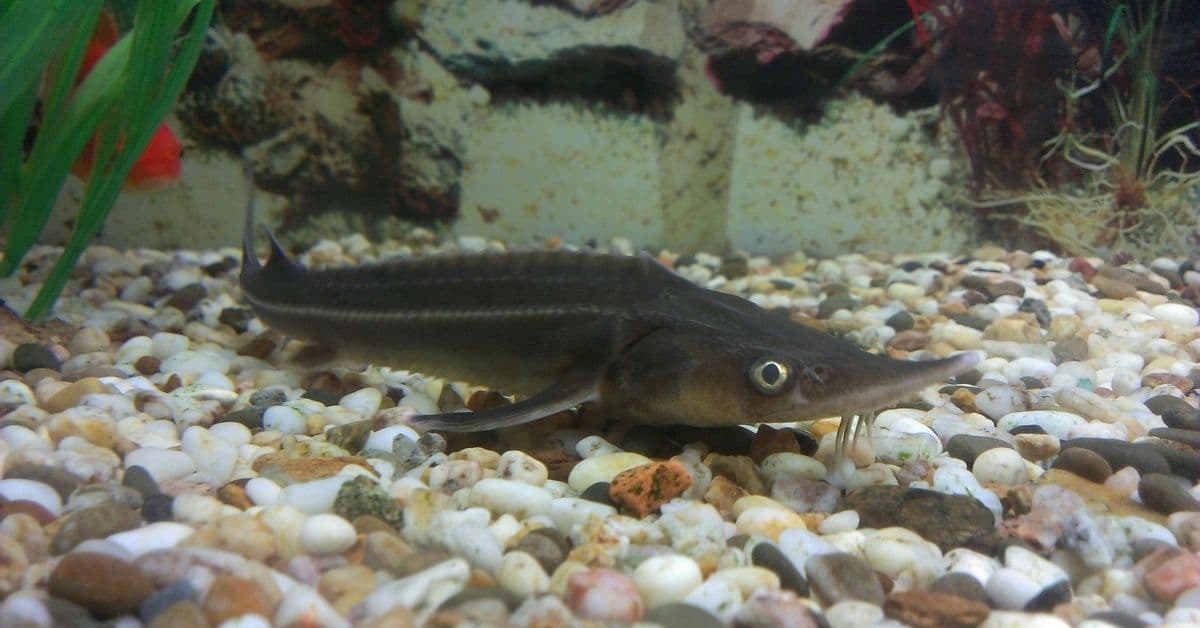 Качество мирового уровня